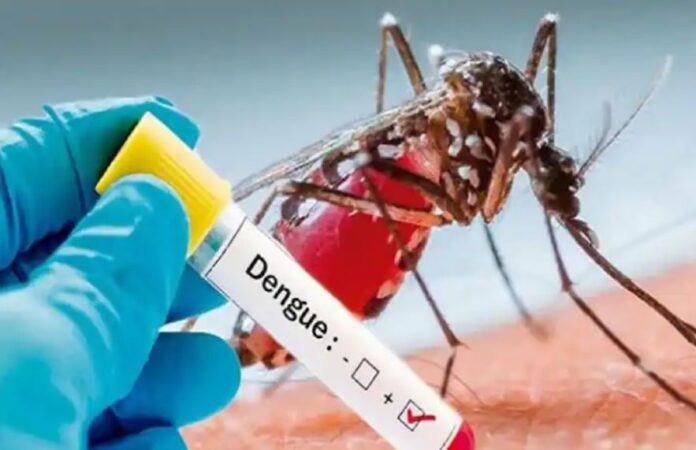 dengue_2_kIpgUAjxYa