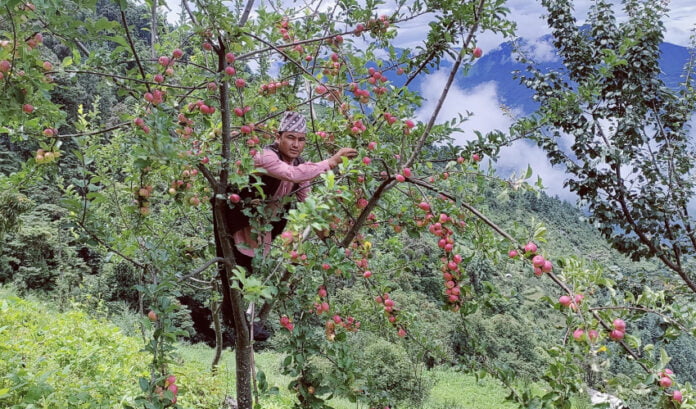 306911260_5340646622719405_7820585716804686328_n_0