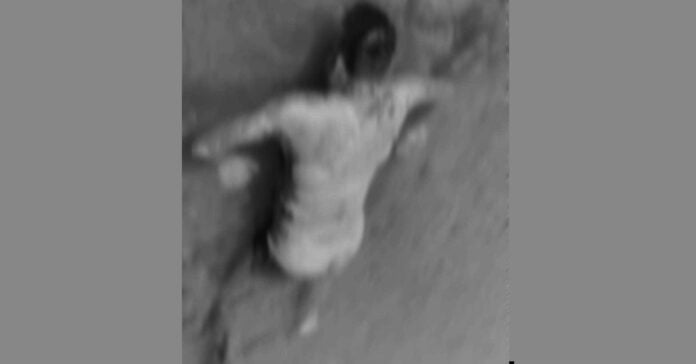 Shahi2024-03-28-04-46-50