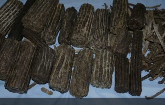 Screenshot_20240401_204032_Chrome