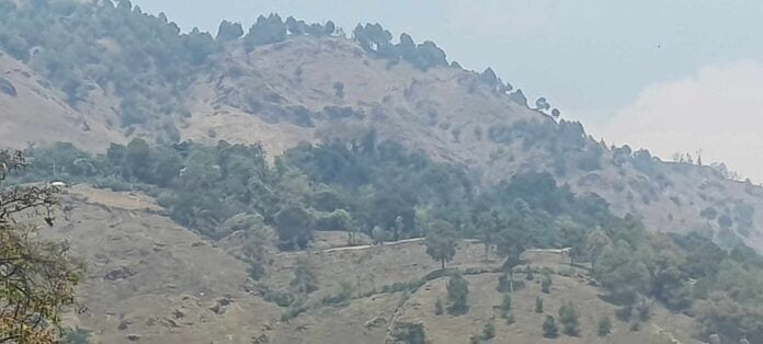 f43e6705-143a-48ef-862d-27fac7ff233a