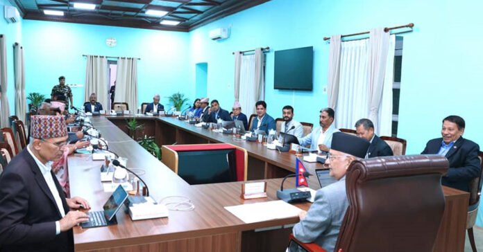 oli-cabinet2024-08-16-11-05-51