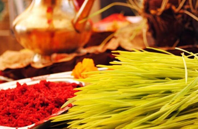 Tika_jamara_H2tEQRZWVw