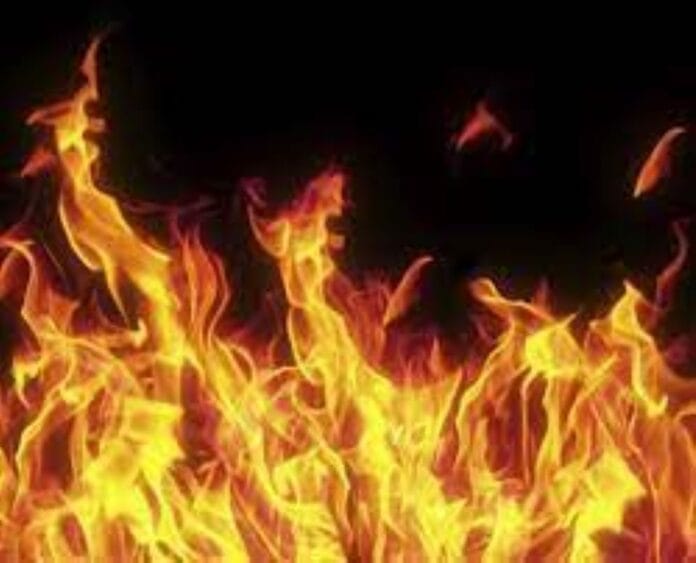 Agalagi-E2025-01-04-09-01-36