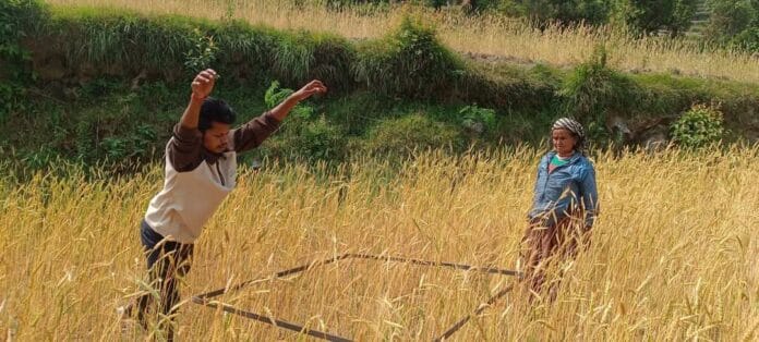 FB_IMG_1747018062321