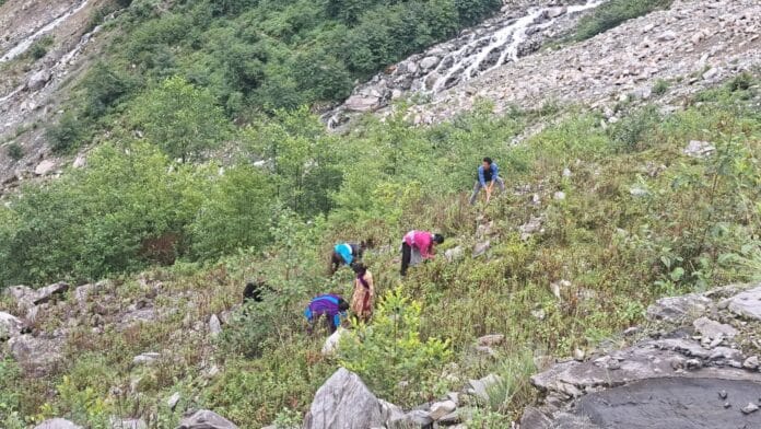 FB_IMG_1752757997363