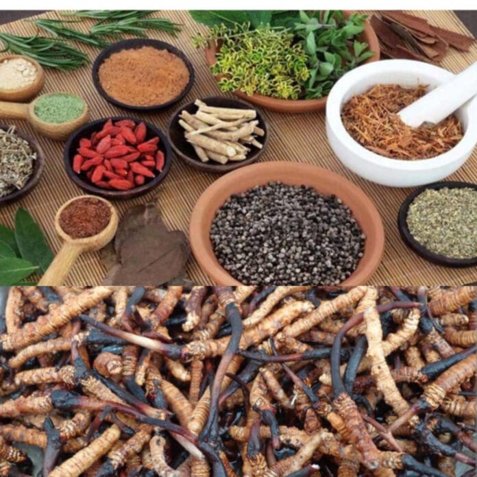 InShot_20250725_092943604