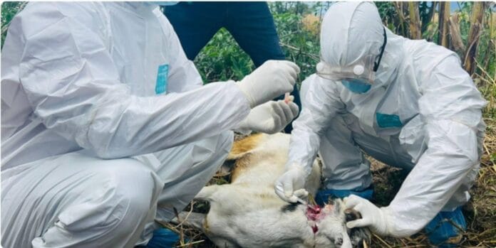 Screenshot_20250926_100257_Chrome